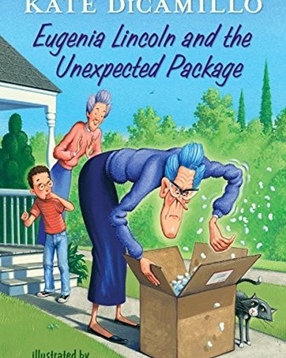 Book cover of The Package by Sebastian Fitzek