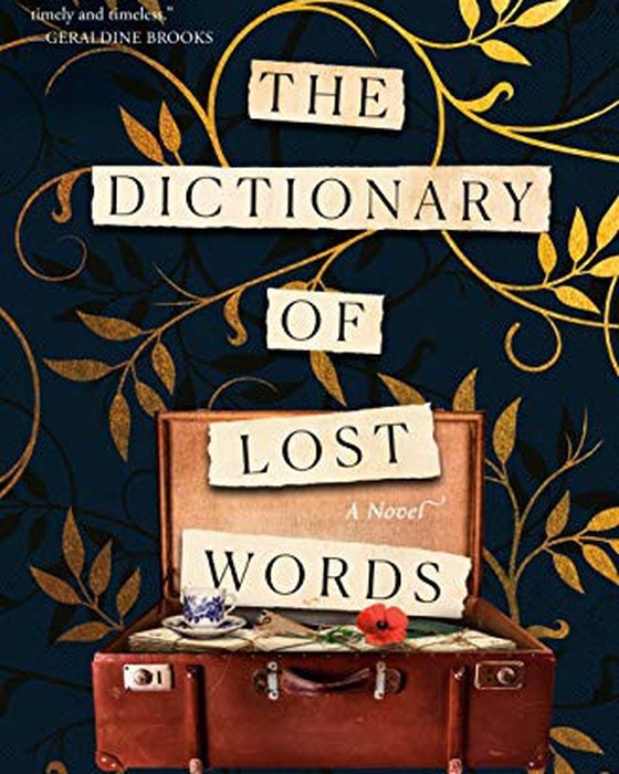 Book cover of The Dictionary of Lost Words by Pip Williams