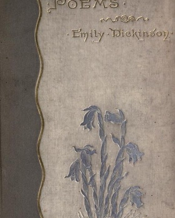 Book cover of Brothers by Jackie Thomae
