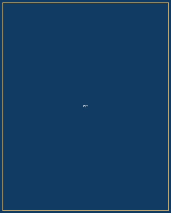 Book cover of Where You Come From by Sasa Stanisic
