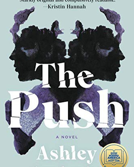 Book cover of The Push by Ashley Audrain