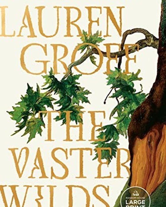 Book cover of The Vaster Wilds by Lauren Groff