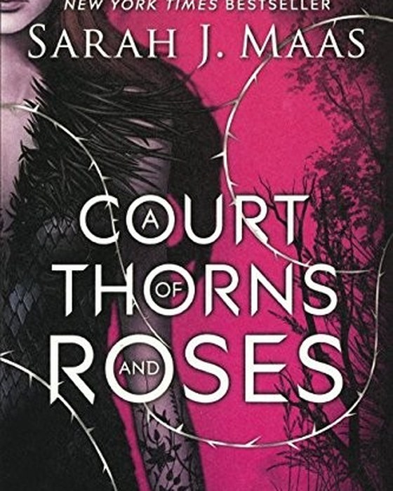 Book cover of A Court of Thorns and Roses by Sarah J. Maas