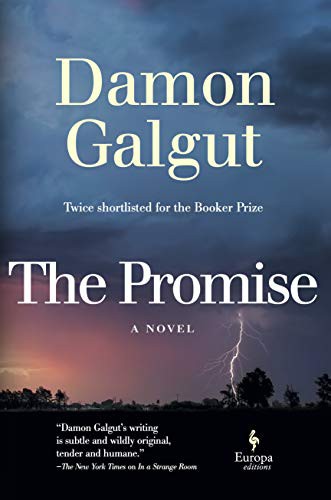 Book cover of The Promise by Damon Galgut